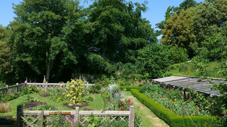 A view of the potager on a sunny day at Trerice